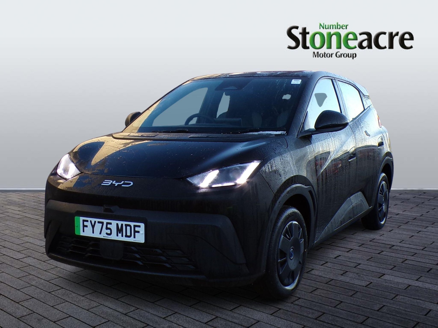 Used BYD Dolphin 2025 for sale - 77497462: Photo 5