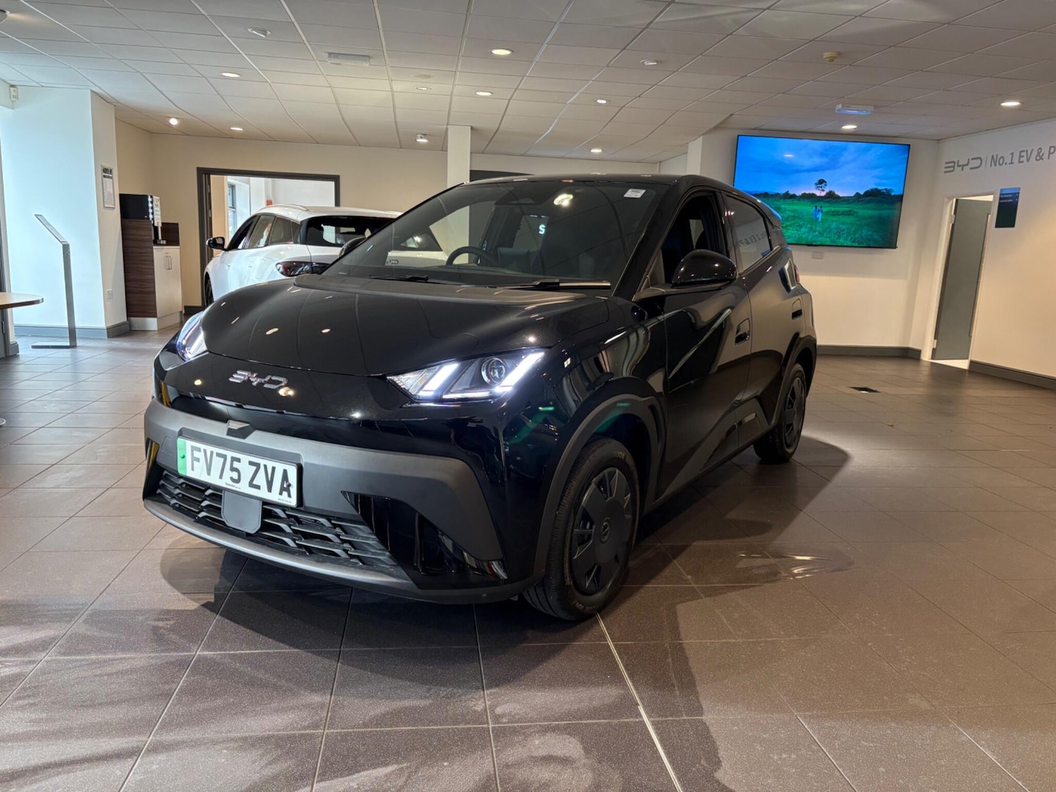 Used BYD Dolphin 2025 for sale - 77156380: Photo 7