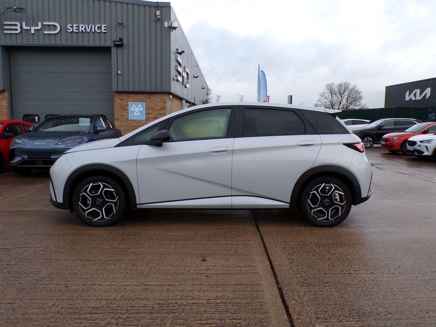 Used BYD Dolphin 2025 for sale - 77156612: Photo 6