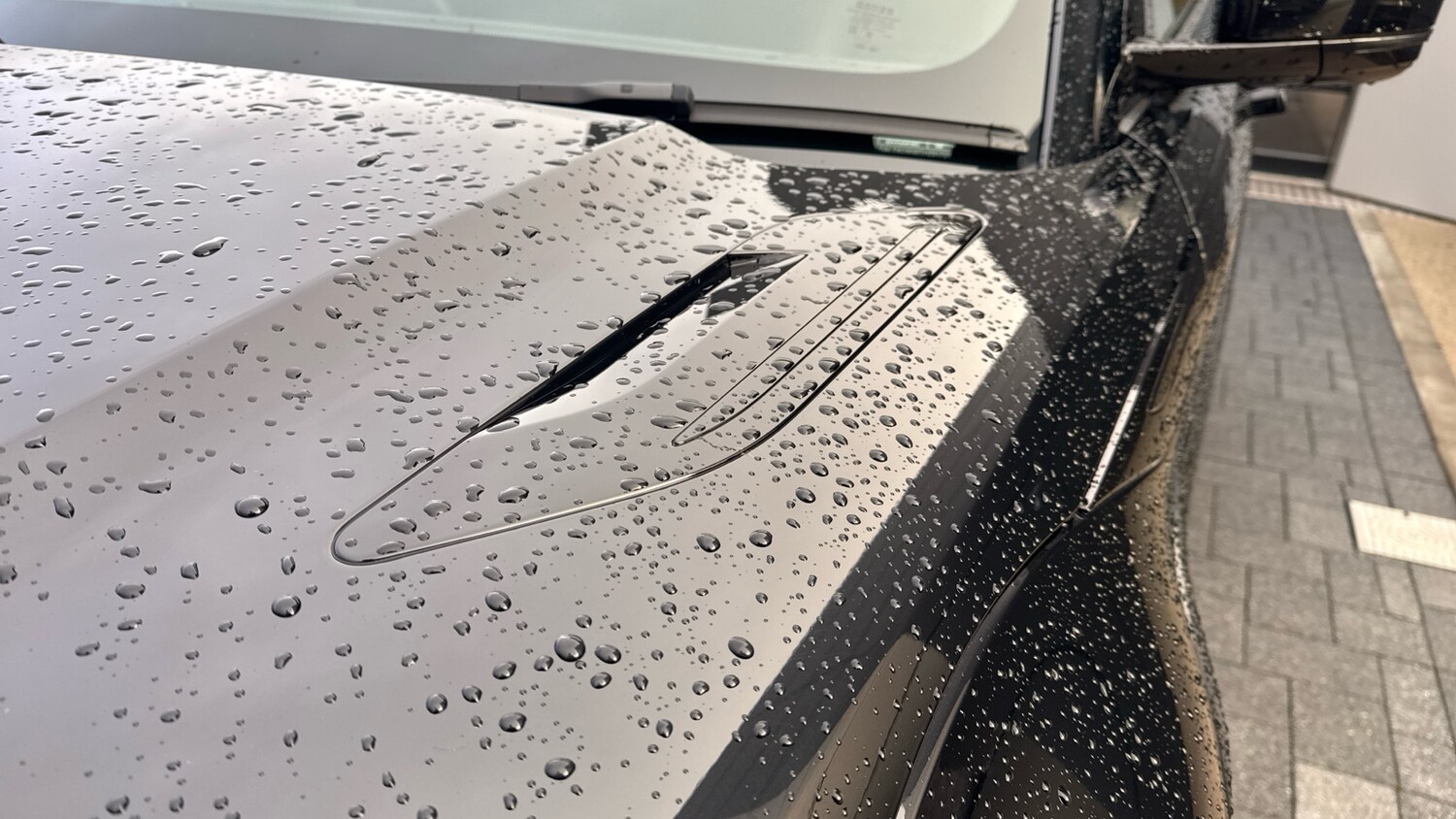 Used Land Rover Range Rover Evoque 2025 for sale - 76959755: Photo 39