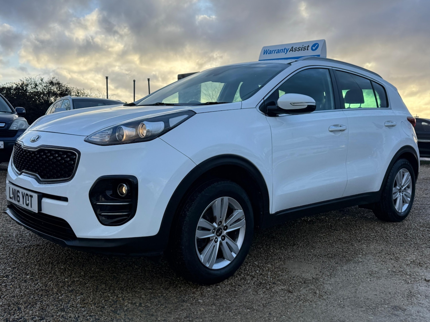 Used Kia Sportage 2016 for sale - 77310942: Photo 3