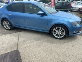 Used Skoda Octavia 2019 for sale - 79119910: Photo