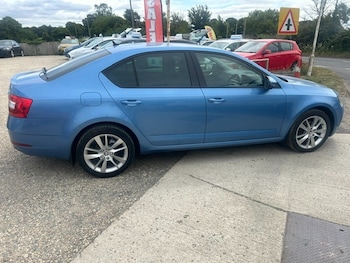 Used Skoda Octavia 2019 for sale - 79119910: Photo