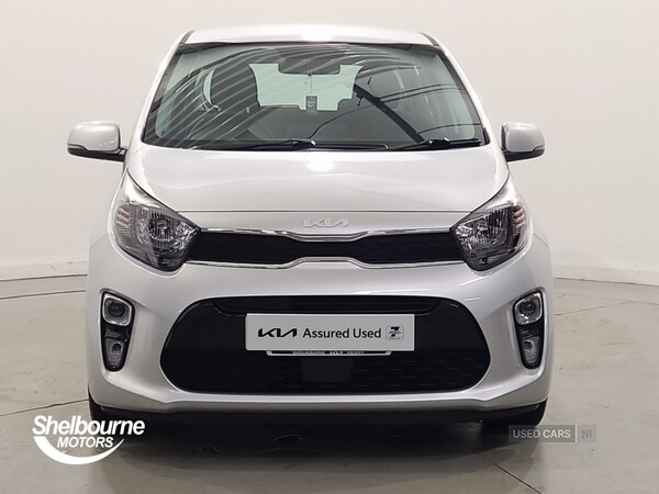 Used Kia Picanto 2024 for sale - 76260657: Photo 11
