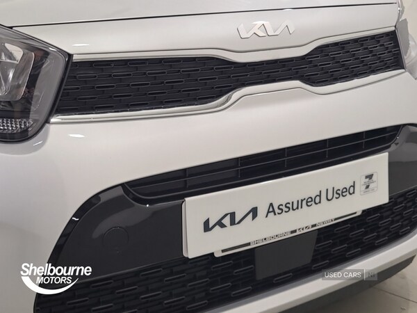 Used Kia Picanto 2024 for sale - 76260657: Photo 50