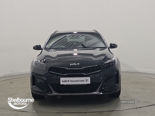 Used Kia XCeed 2025 for sale - 77359504: Photo 11