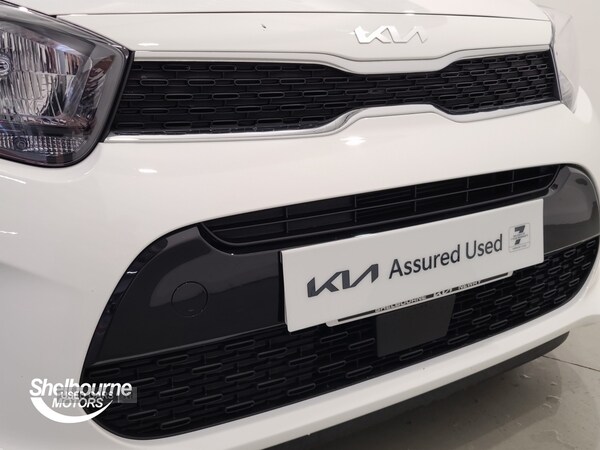 Used Kia Picanto 2024 for sale - 76139277: Photo 50