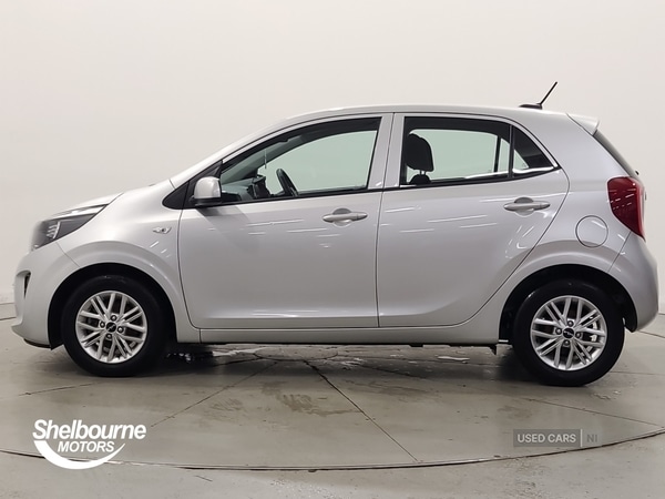 Used Kia Picanto 2024 for sale - 76729526: Photo 15