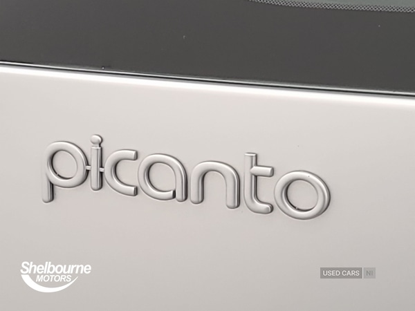 Used Kia Picanto 2024 for sale - 76729526: Photo 41