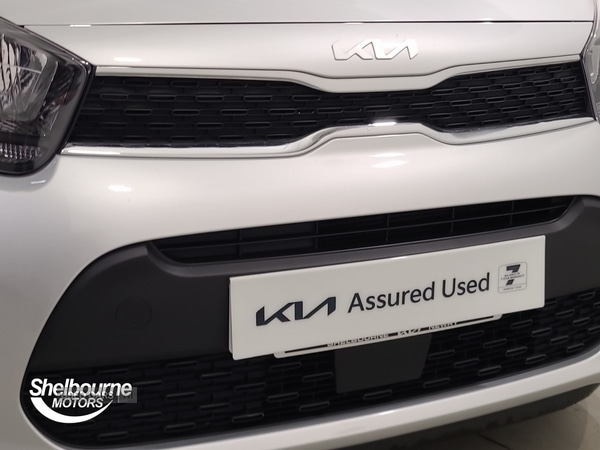 Used Kia Picanto 2024 for sale - 76729526: Photo 48