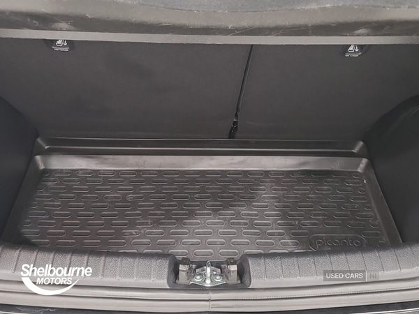 Used Kia Picanto 2023 for sale - 76359582: Photo 41