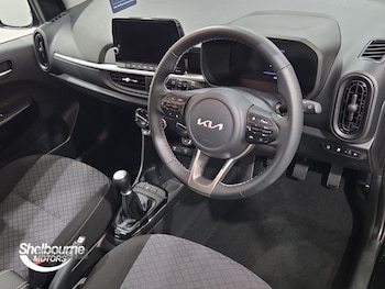 Used Kia Picanto 2025 for sale - 77009380: Photo