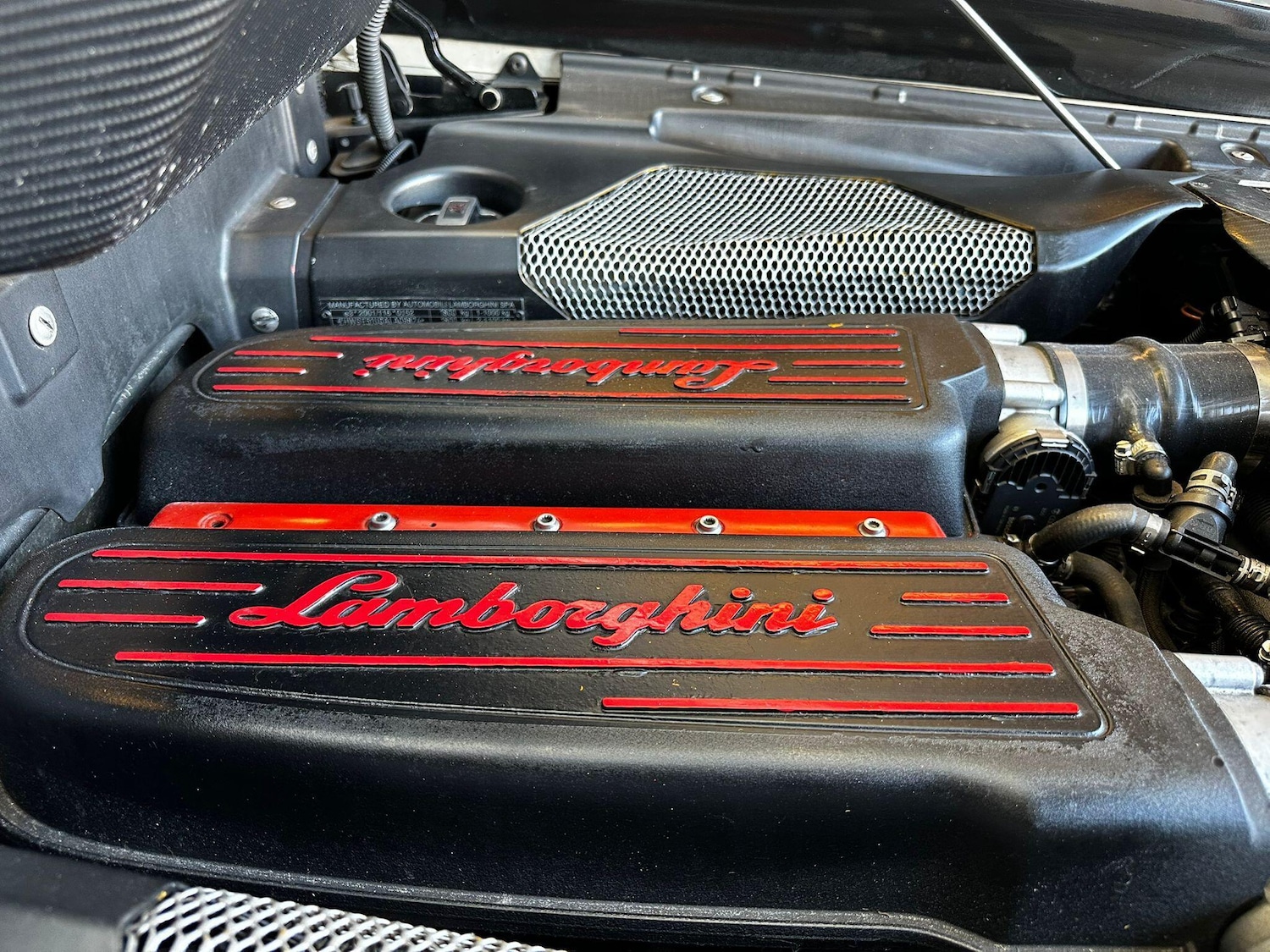 Used Lamborghini Gallardo 2010 for sale - 77633349: Photo 34