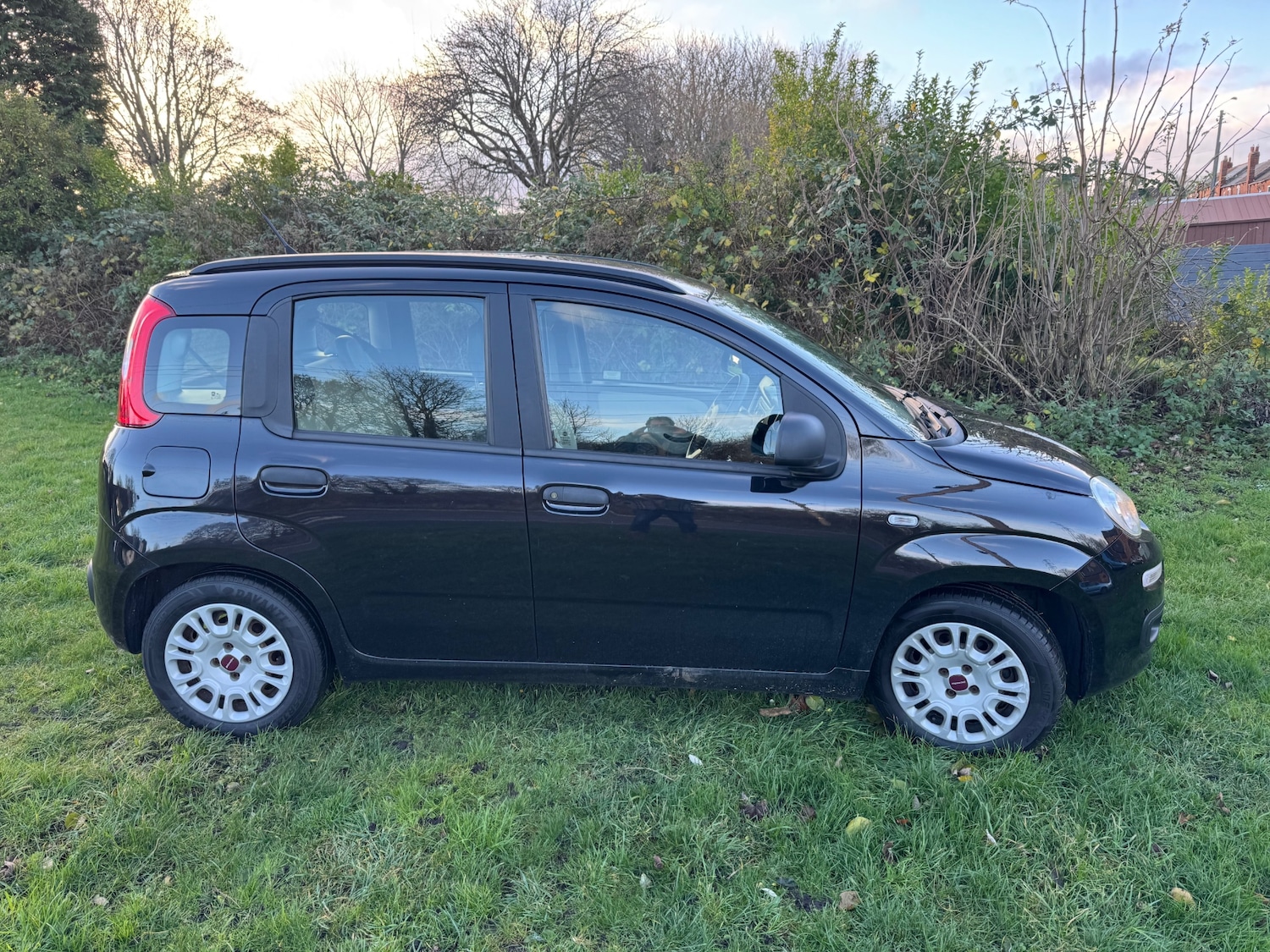 Used Fiat Panda 2013 for sale - 76893219: Photo 6