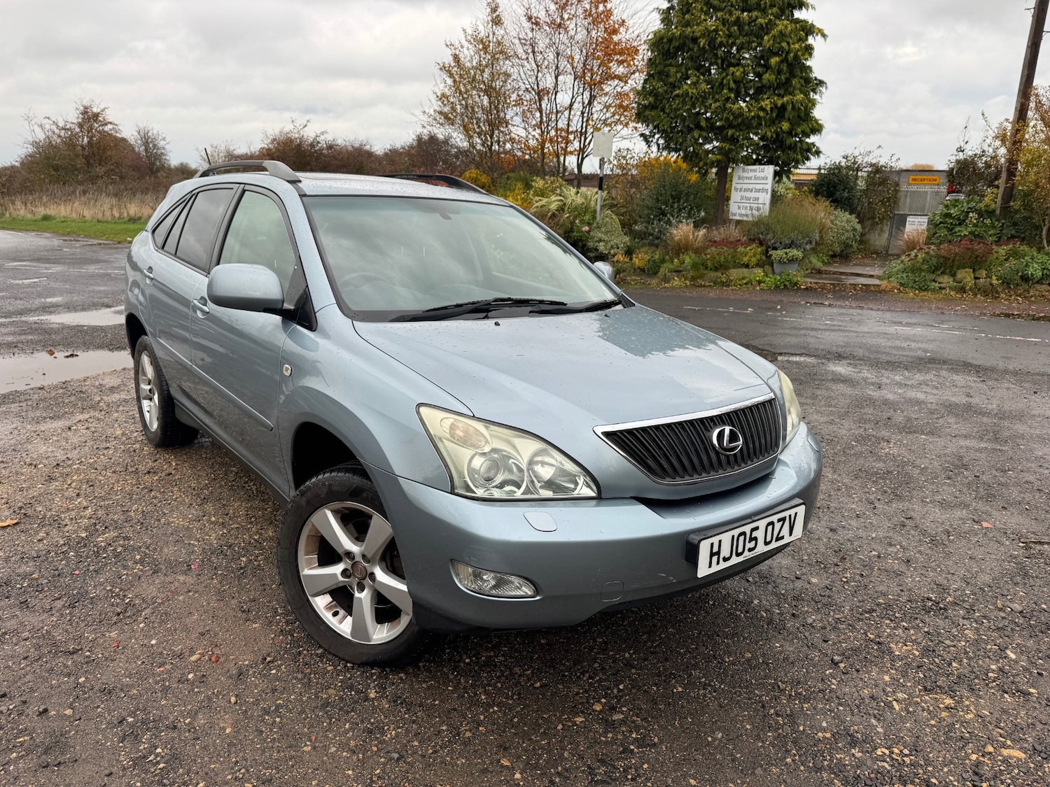 Used Lexus RX 2005 for sale - 76969701: Photo 6