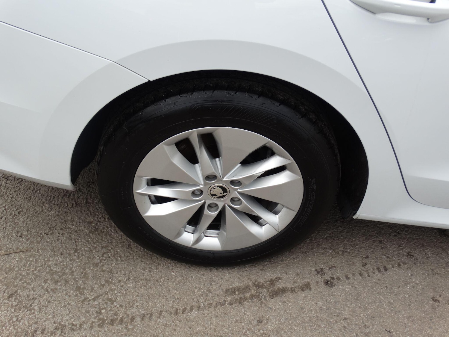 Used Skoda Octavia 2020 for sale - 76348799: Photo 43