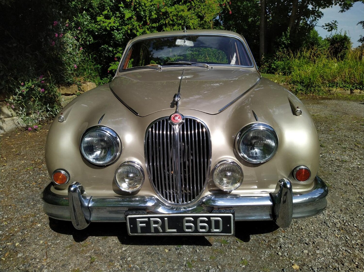 Classic Jaguar Cars for Sale CCFS