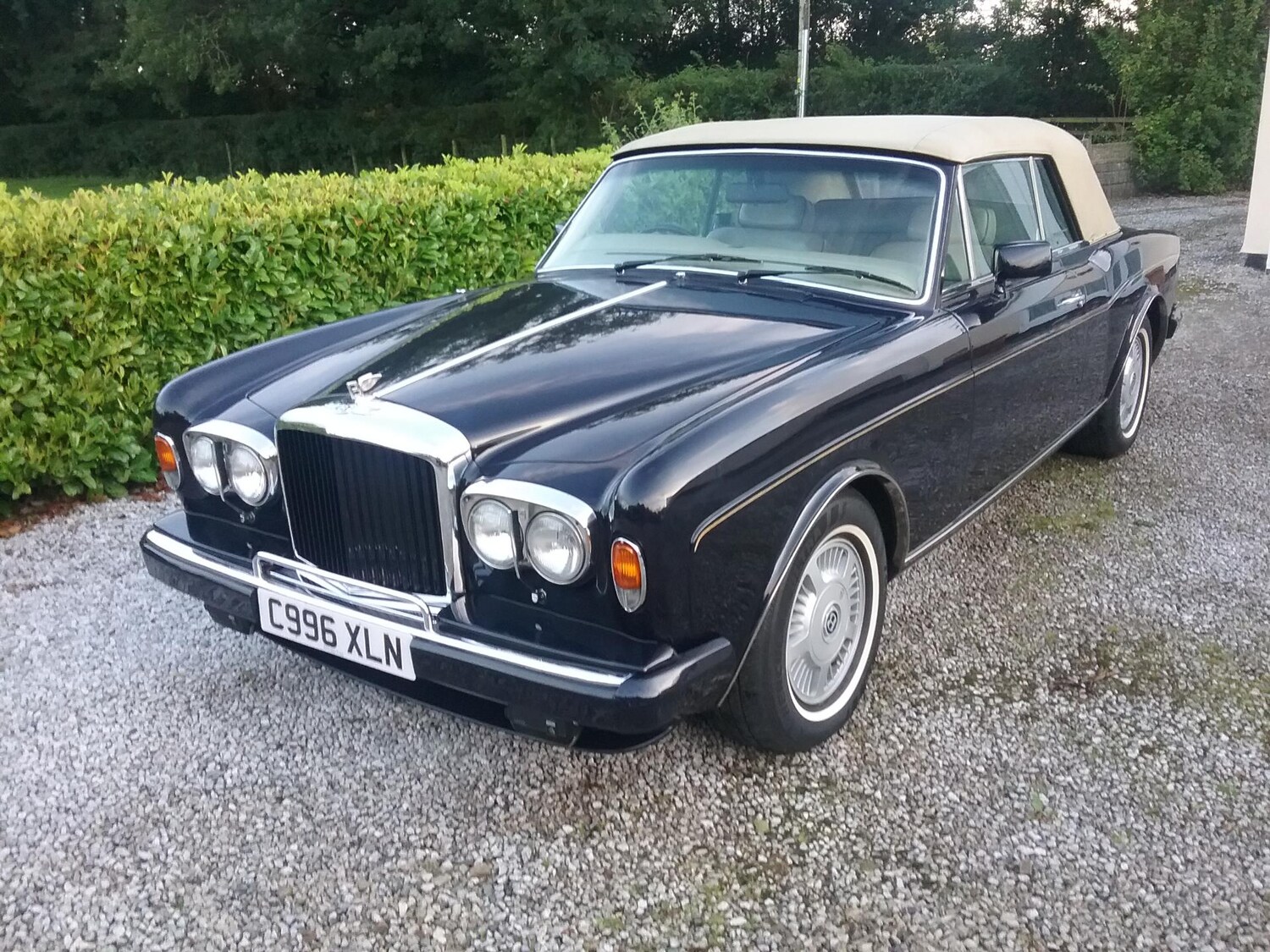 Classic Bentley Corniche Cars for Sale CCFS