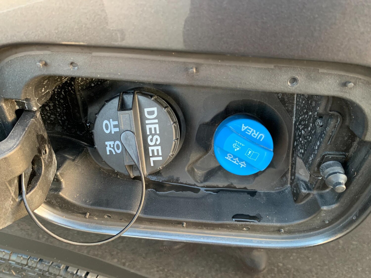 Used KGM Musso for sale - 77439863: Photo 39