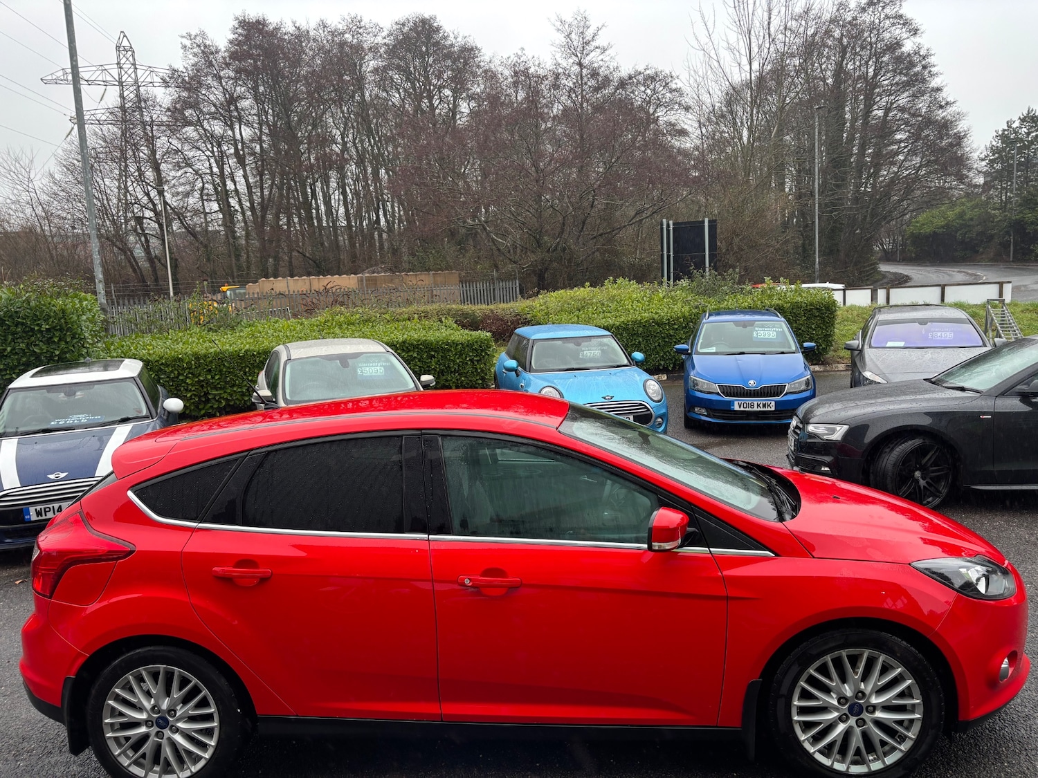 Used Ford Focus 2013 for sale - 77289393: Photo 3