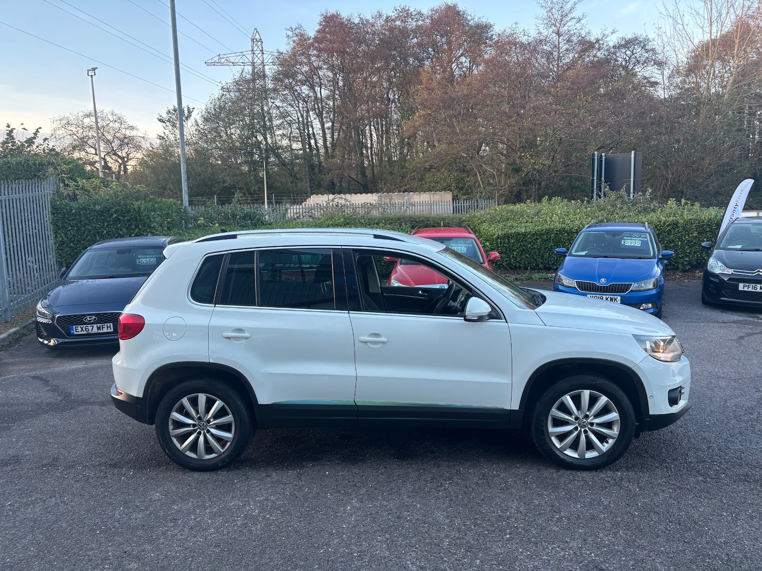 Used Volkswagen Tiguan 2014 for sale - 76652895: Photo 3