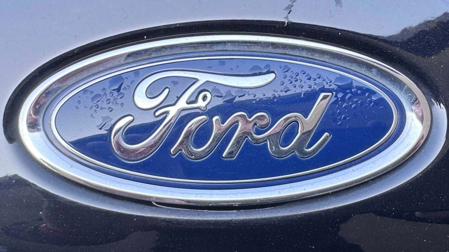 Used Ford Focus for sale - 77862505: Photo 11