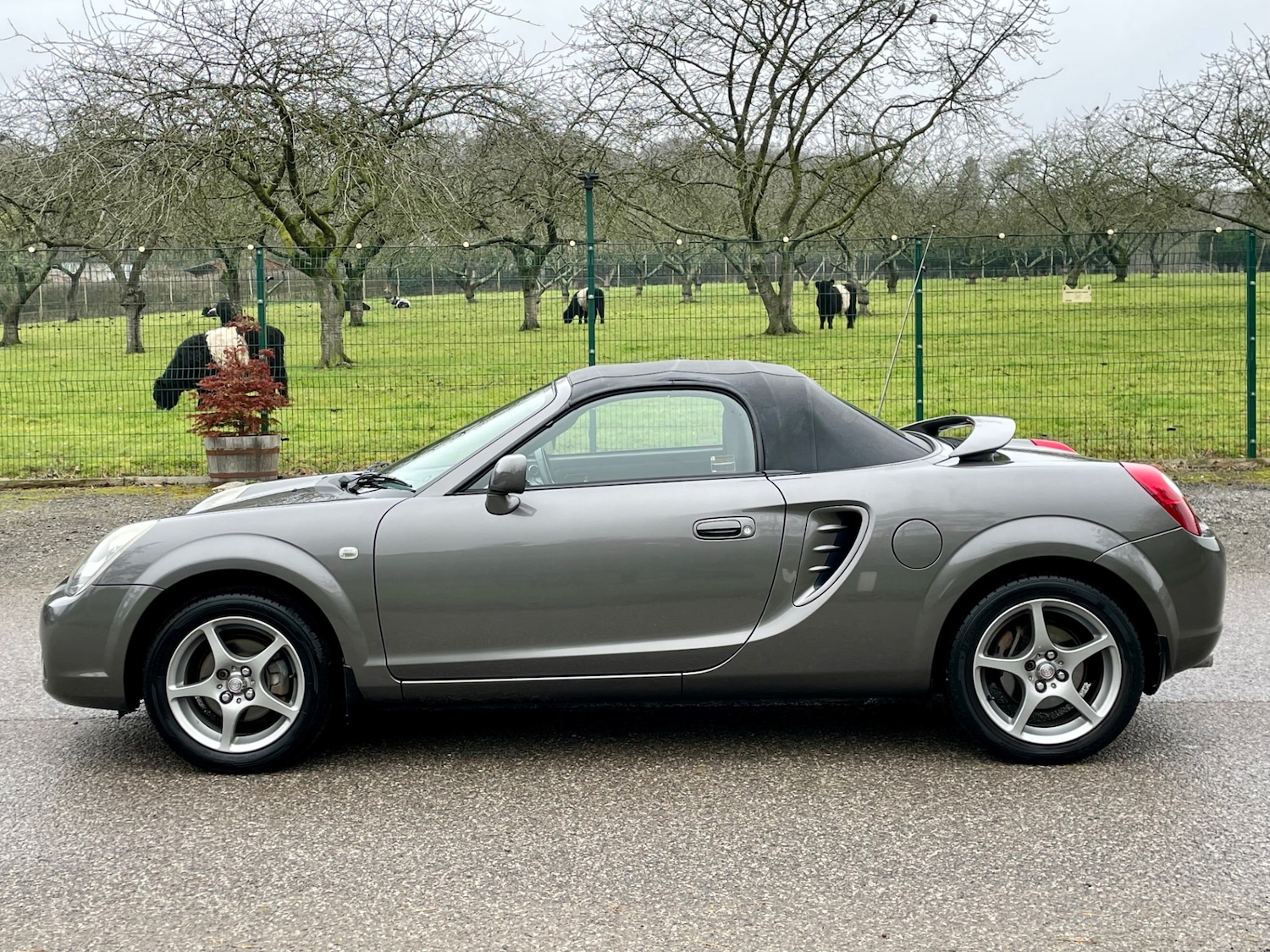 Used Toyota MR2 2004 for sale - 77240522: Photo 8