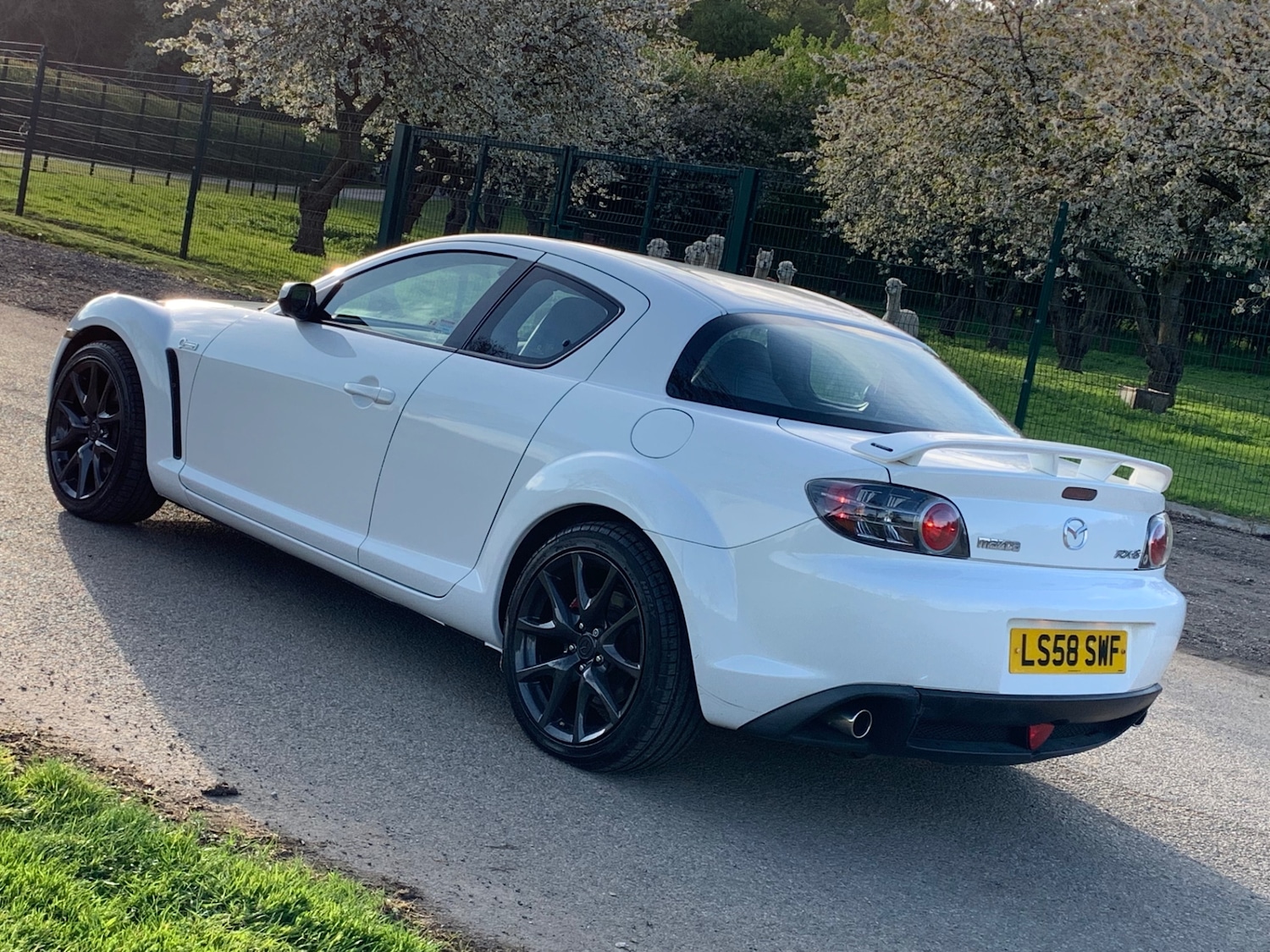 Used Mazda RX-8 2008 for sale - 77836733: Photo 13