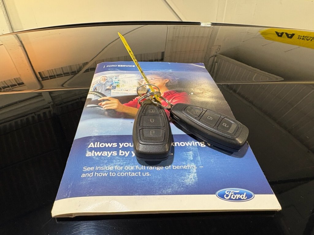 Used Ford Fiesta 2018 for sale - 76256771: Photo 19