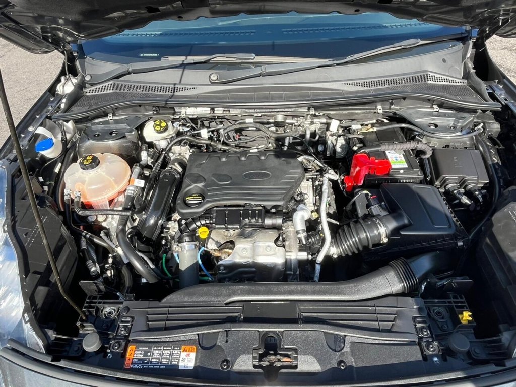 Used Ford Kuga 2020 for sale - 78030486: Photo 10