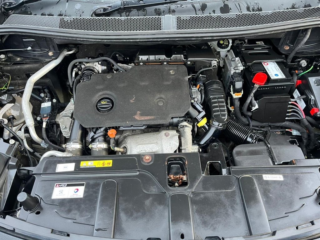 Used Peugeot 3008 2019 for sale - 76604842: Photo 10