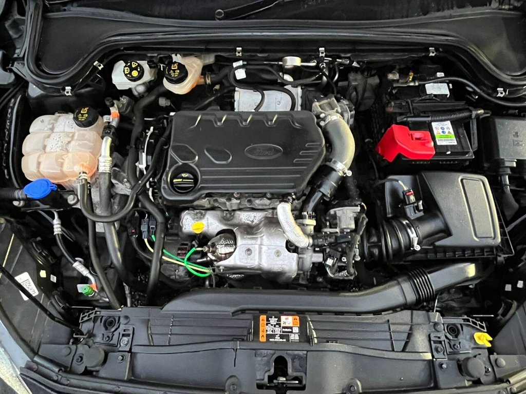 Used Ford Focus 2019 for sale - 77919545: Photo 10