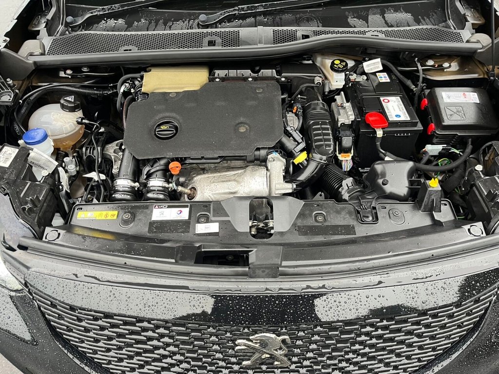 Used Peugeot 2008 2020 for sale - 76973511: Photo 10