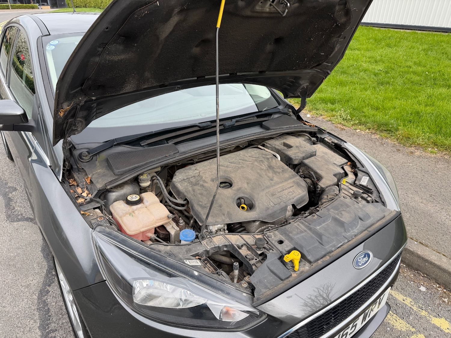 Used Ford Focus 2015 for sale - 78183533: Photo 28