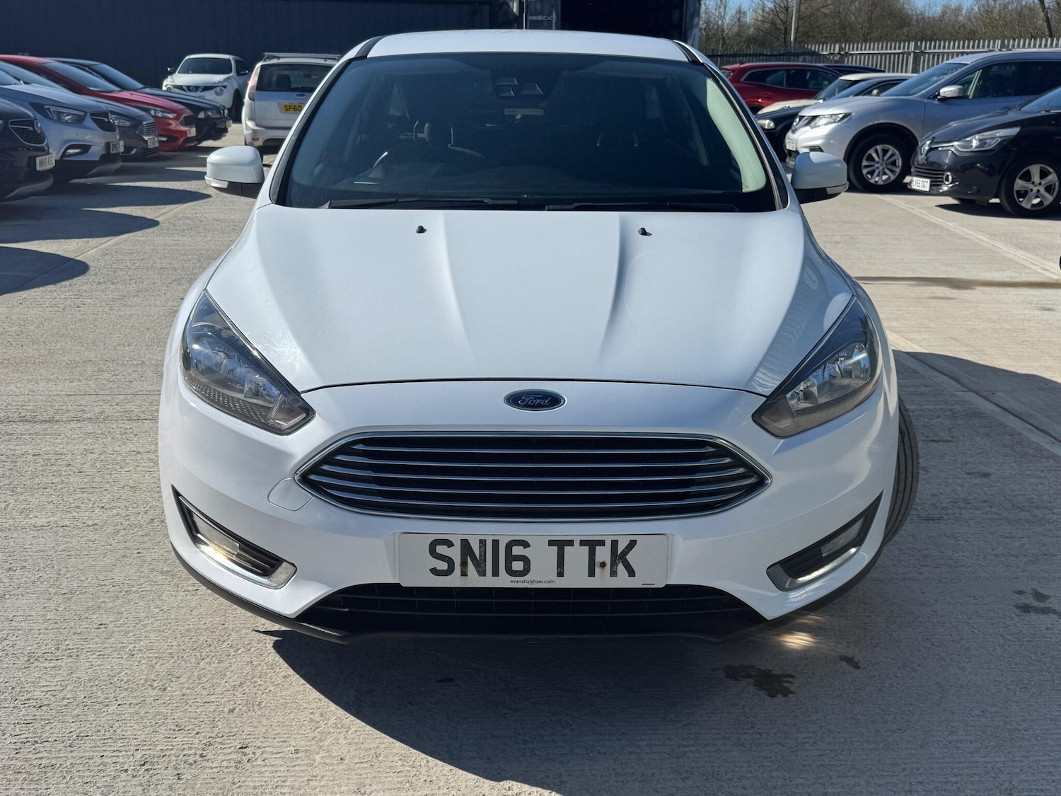 Used Ford Focus 2016 for sale - 77939294: Photo 3