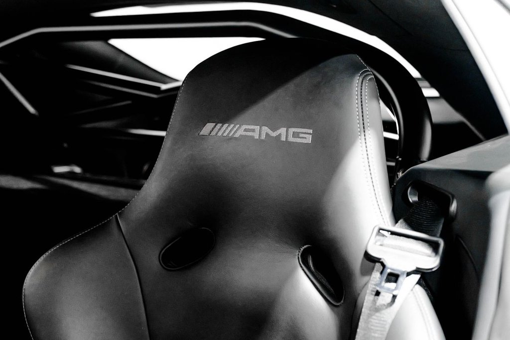 Used Mercedes-Benz AMG GT 2020 for sale - 76417184: Photo 30