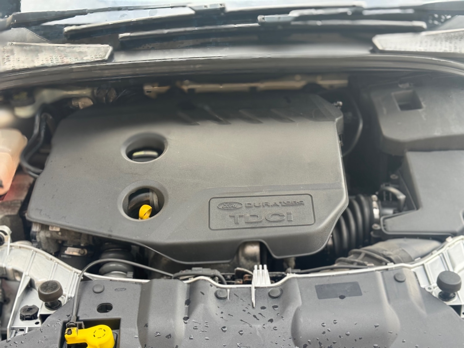 Used Ford Focus 2014 for sale - 77679310: Photo 30