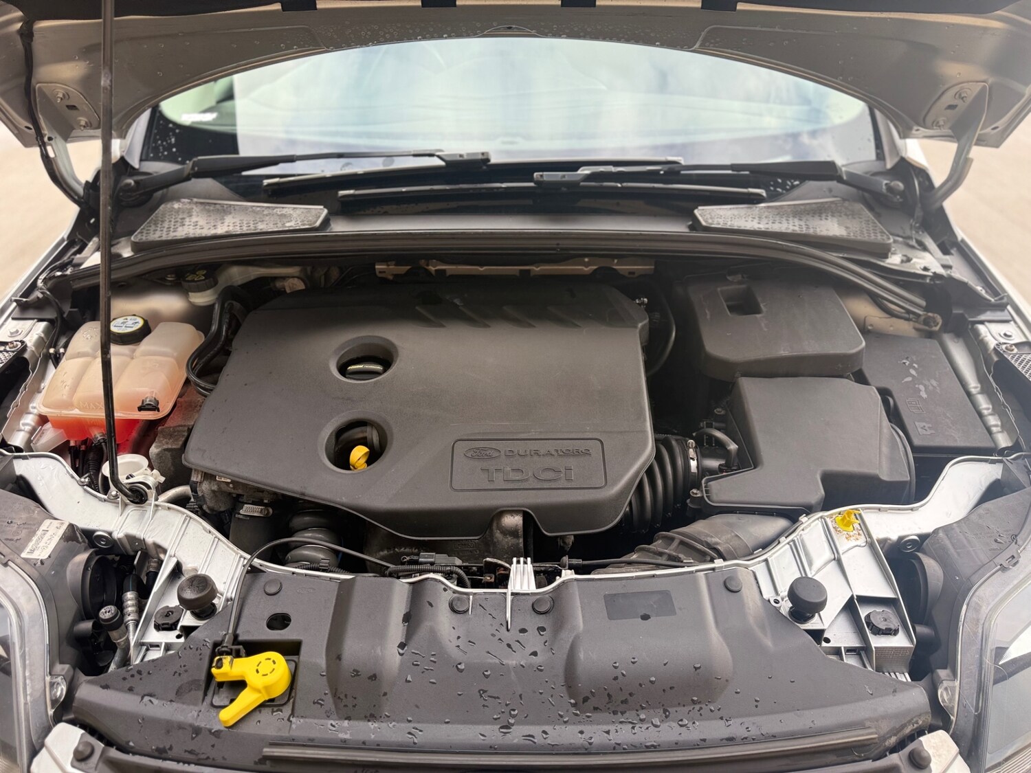 Used Ford Focus 2014 for sale - 77679310: Photo 31