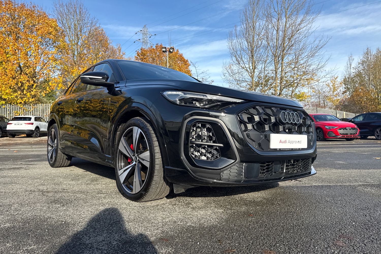 Used Audi Q5 2025 for sale - 76502914: Photo 28