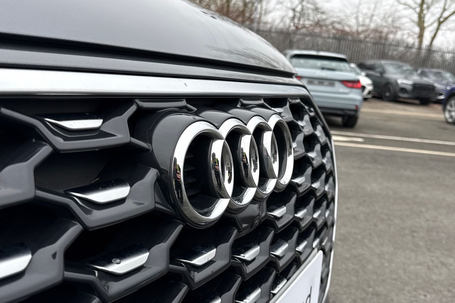 Used Audi Q5 2023 for sale - 77812486: Photo 30