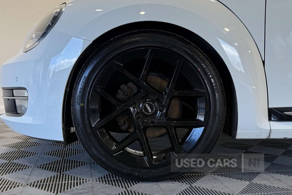 Used Volkswagen Beetle 2015 for sale - 77345889: Photo 11