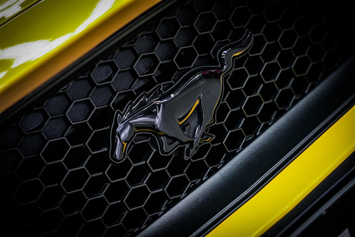 Used Ford Mustang 2018 for sale - 77387309: Photo 31