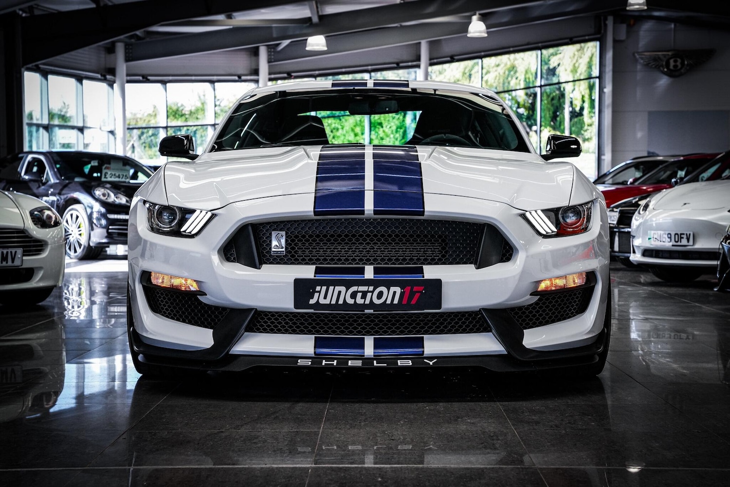 Used Ford Mustang 2016 for sale - 76660490: Photo 11