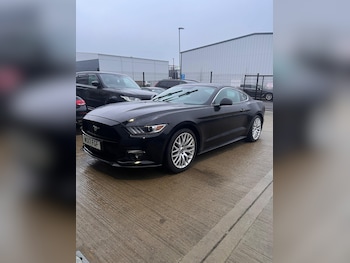 Used Ford Mustang 2017 for sale - 77425812: Photo