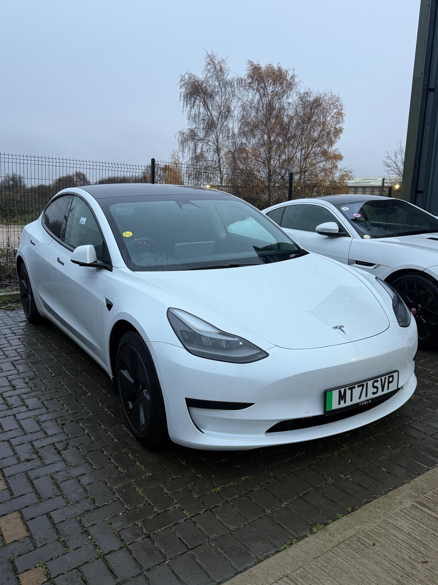Used Tesla Model 3 2021 for sale - 76832619: Photo 1