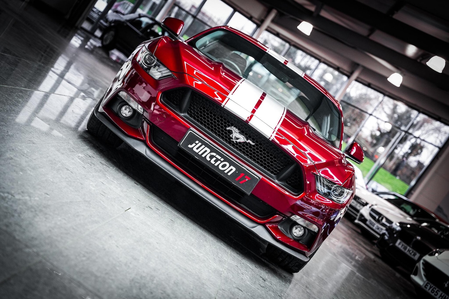 Used Ford Mustang 2016 for sale - 77091574: Photo 4