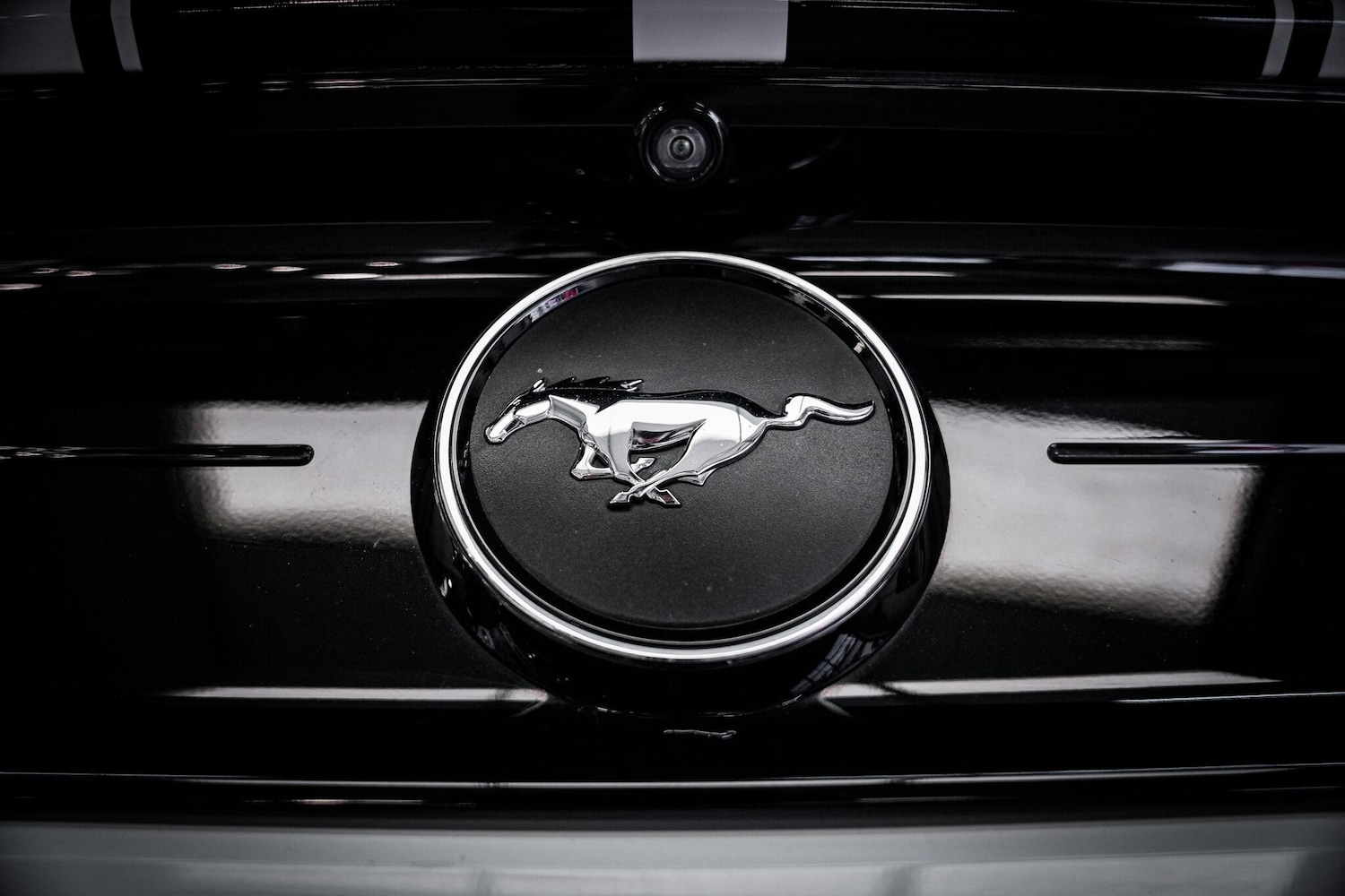 Used Ford Mustang 2020 for sale - 76742666: Photo 34