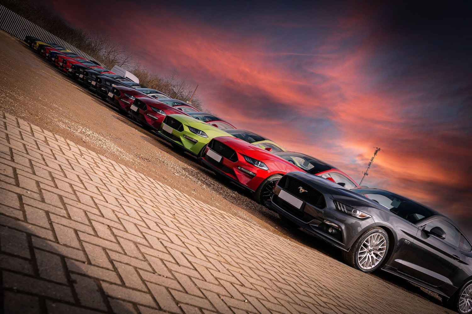 Used Ford Mustang 2017 for sale - 77109155: Photo 2