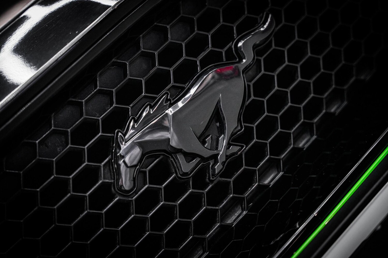 Used Ford Mustang 2019 for sale - 77496882: Photo 31