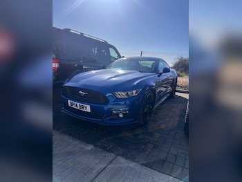 Used Ford Mustang 2017 for sale - 77940687: Photo